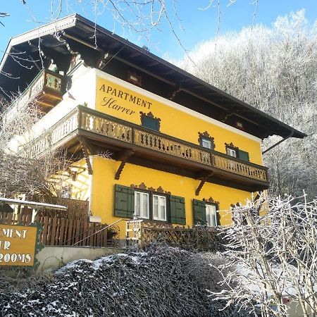 Appartement Harrer Zell am See Exterior photo