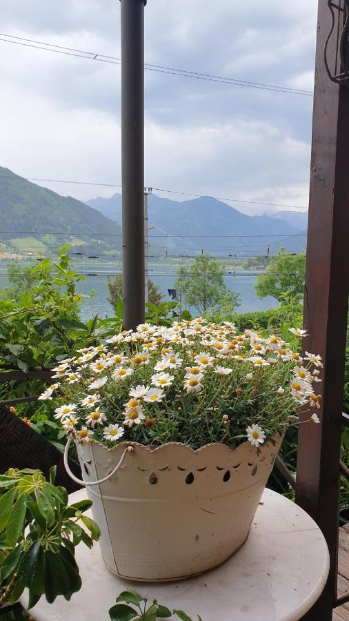 Appartement Harrer Zell am See Exterior photo